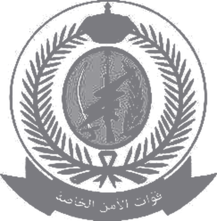 special-security-forces